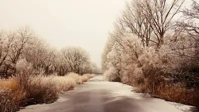 водоем лед, фото - Новости Zakon.kz от 24.11.2021 11:42