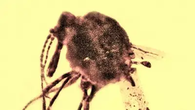 Zakon.kz, фото - Новости Zakon.kz от 30.03.2016 04:35