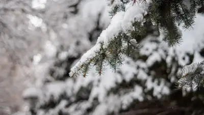 рк, погода, дождь, снег, сильный ветер, прогноз, казгидромет, фото - Новости Zakon.kz от 27.04.2022 15:24