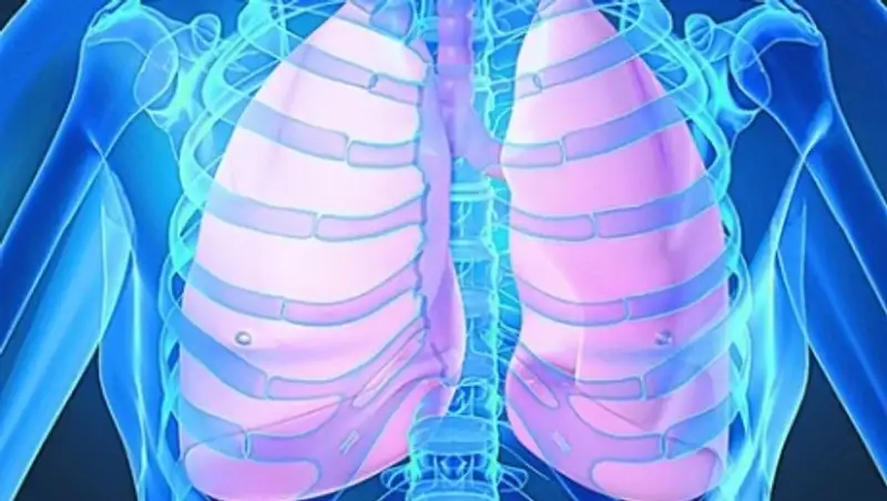 Эксперты ВОЗ отметили эффективность противотуберкулезных мероприятий в РК