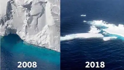 MesutOzil1088 / Twitter, фото - Новости Zakon.kz от 26.01.2019 15:47