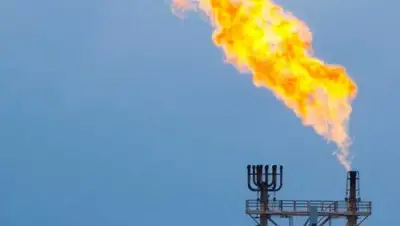 ug-gaz.com, фото - Новости Zakon.kz от 15.08.2018 11:10