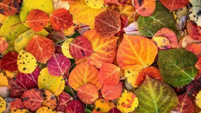 Погода без осадков ожидается на большей части Казахстана