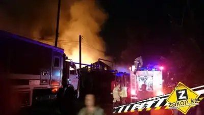 Zakon.kz, фото - Новости Zakon.kz от 07.08.2015 18:16