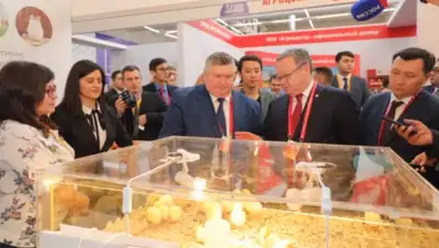 Пресс-служба Актюбинской области, фото - Новости Zakon.kz от 21.11.2019 15:42