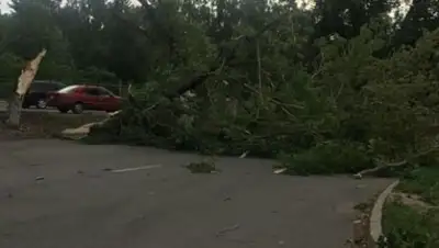Zakon.kz, фото - Новости Zakon.kz от 18.07.2017 20:55