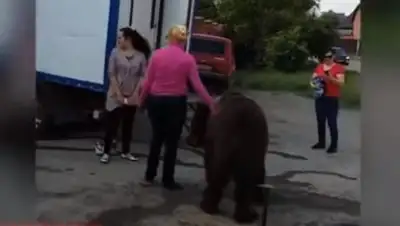 Zakon.kz, фото - Новости Zakon.kz от 27.05.2016 12:50