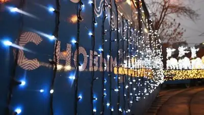 Фото: РИА Новости / Рамиль Ситдиков, фото - Новости Zakon.kz от 29.12.2017 16:53