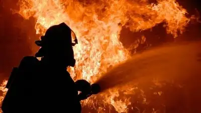 kuban.mk.ru, фото - Новости Zakon.kz от 09.03.2018 11:55