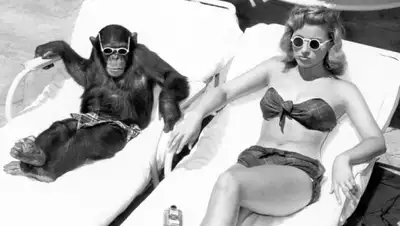 adme.ru, фото - Новости Zakon.kz от 01.02.2020 14:45