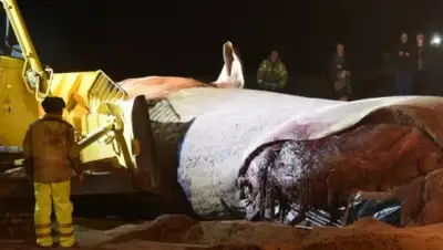 Zakon.kz, фото - Новости Zakon.kz от 28.01.2016 16:49