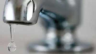 Фото с сайта inform.kz, фото - Новости Zakon.kz от 28.01.2018 09:16