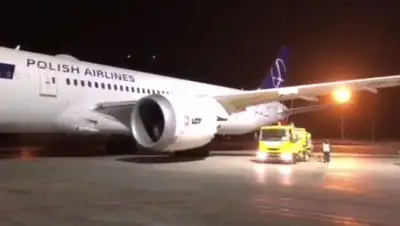 кадр видео, фото - Новости Zakon.kz от 03.04.2020 12:56