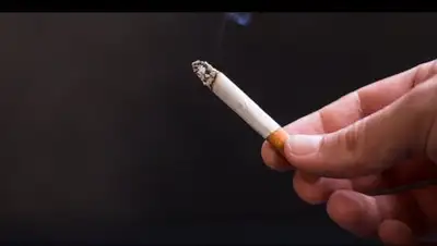 CC0 / Lukas Bieri, фото - Новости Zakon.kz от 03.05.2018 00:24