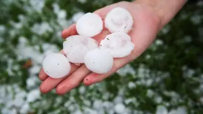 inform.kz, фото - Новости Zakon.kz от 11.07.2018 07:31