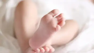 Газета Кемерова - A42.ru, фото - Новости Zakon.kz от 21.05.2018 19:31