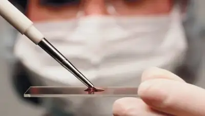 Zakon.kz, фото - Новости Zakon.kz от 09.12.2016 16:25