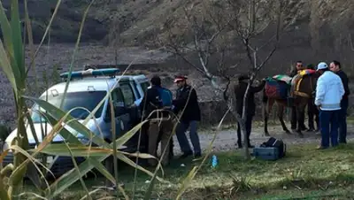 2M / AP, фото - Новости Zakon.kz от 20.12.2018 21:30