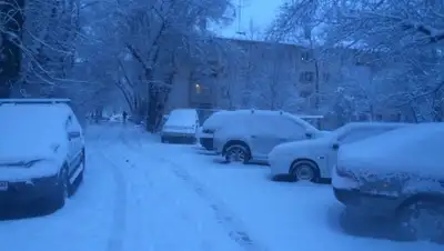 Zakon.kz, фото - Новости Zakon.kz от 10.12.2015 14:35