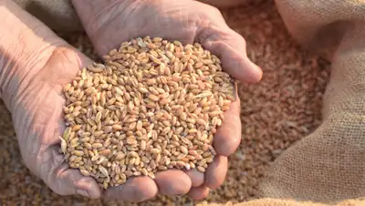 islam.ua, фото - Новости Zakon.kz от 17.04.2020 19:11