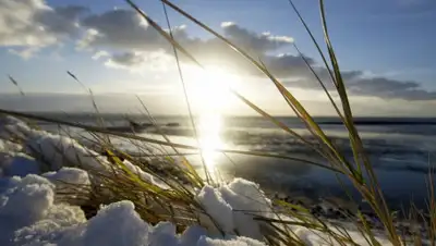 wallpapers.99px, фото - Новости Zakon.kz от 05.03.2020 20:35