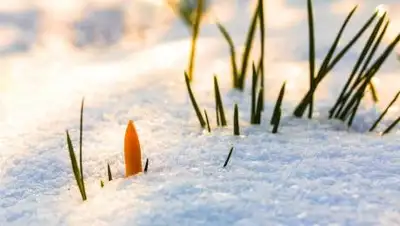 pixabay.com, фото - Новости Zakon.kz от 01.03.2021 10:51