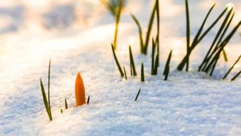 Какой будет погода в начале марта