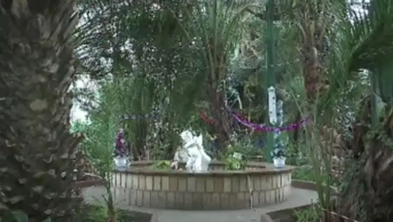 Уникальный сад Петропавловска на грани исчезновения