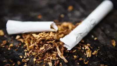 sud.ua, фото - Новости Zakon.kz от 31.07.2019 14:00