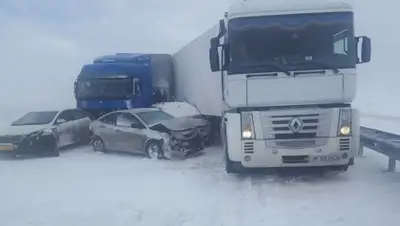 Zakon.kz, фото - Новости Zakon.kz от 31.03.2017 17:17