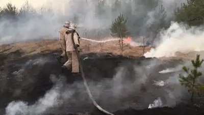 facebook.com/MNS.GOV.UA, фото - Новости Zakon.kz от 12.04.2020 02:05