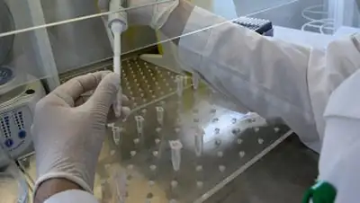 Zakon.kz, фото - Новости Zakon.kz от 05.09.2014 19:32