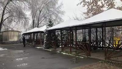 facebook, фото - Новости Zakon.kz от 12.02.2020 09:31