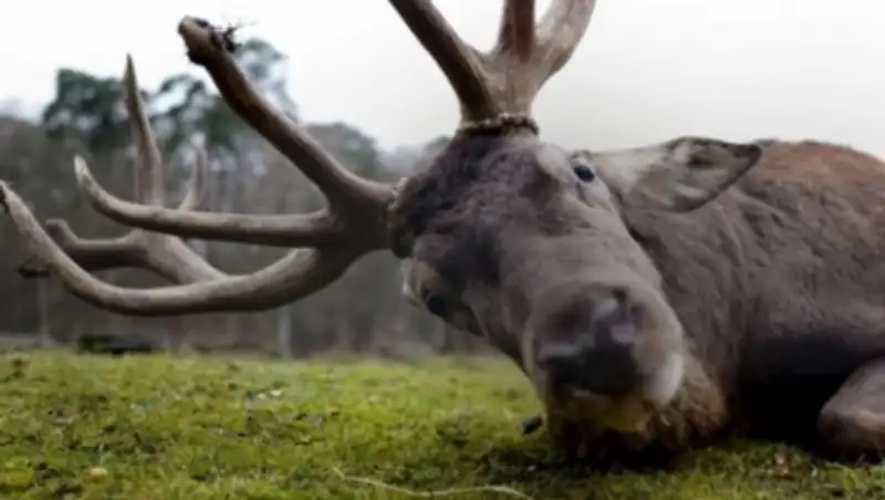 20 лучших новостных фотографий января