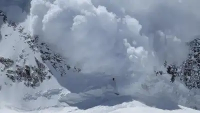 lockerdome.com, фото - Новости Zakon.kz от 17.03.2020 16:38