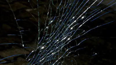 pixabay.com, фото - Новости Zakon.kz от 18.03.2019 22:27