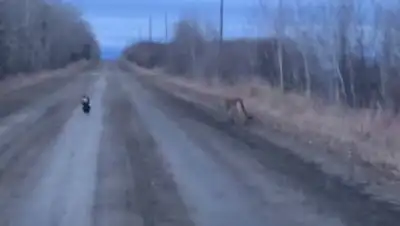 Zakon.kz, фото - Новости Zakon.kz от 06.11.2017 08:32