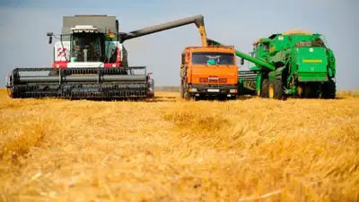 Zakon.kz, фото - Новости Zakon.kz от 19.02.2018 17:37