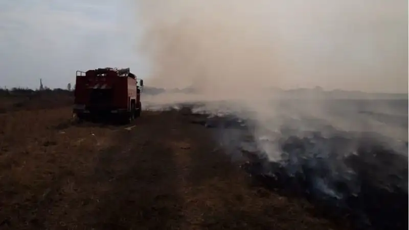 Пожар разгорелся в пойме Иртыша около сел в Павлодарской области