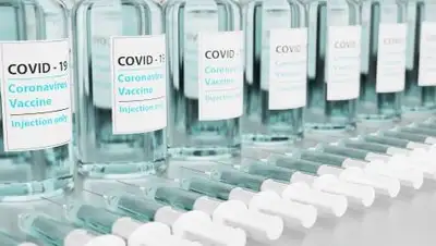 pixabay.com, фото - Новости Zakon.kz от 05.08.2021 10:35