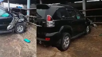 соцсети, фото - Новости Zakon.kz от 15.12.2018 18:11