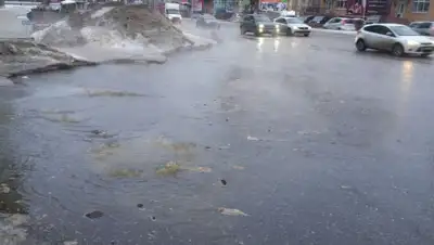 moe-online.ru, фото - Новости Zakon.kz от 16.04.2020 23:55