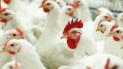 Zakon.kz, фото - Новости Zakon.kz от 17.03.2015 02:29