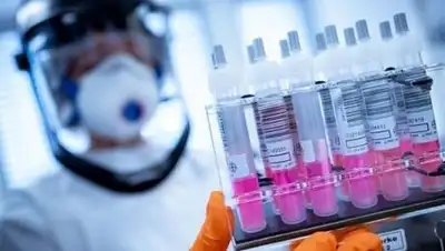 DPA, фото - Новости Zakon.kz от 22.10.2020 00:16