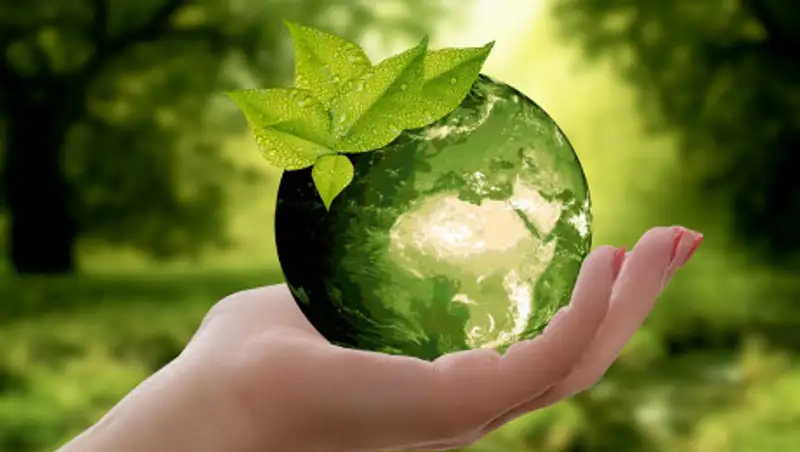 Новый Экологический кодекс разработают в Казахстане