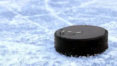 из открытых источников, фото - Новости Zakon.kz от 08.04.2018 20:44