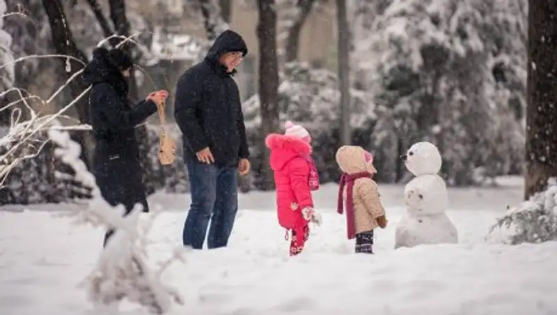 Какой будет погода в ближайшие три дня