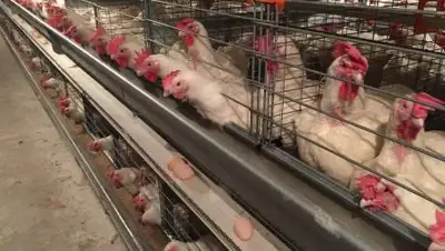 АЯПК, фото - Новости Zakon.kz от 30.09.2020 18:48