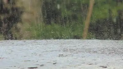 pixabay.com, фото - Новости Zakon.kz от 07.07.2021 10:42