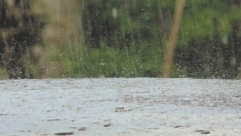 Сильные дожди и град ожидаются в Казахстане